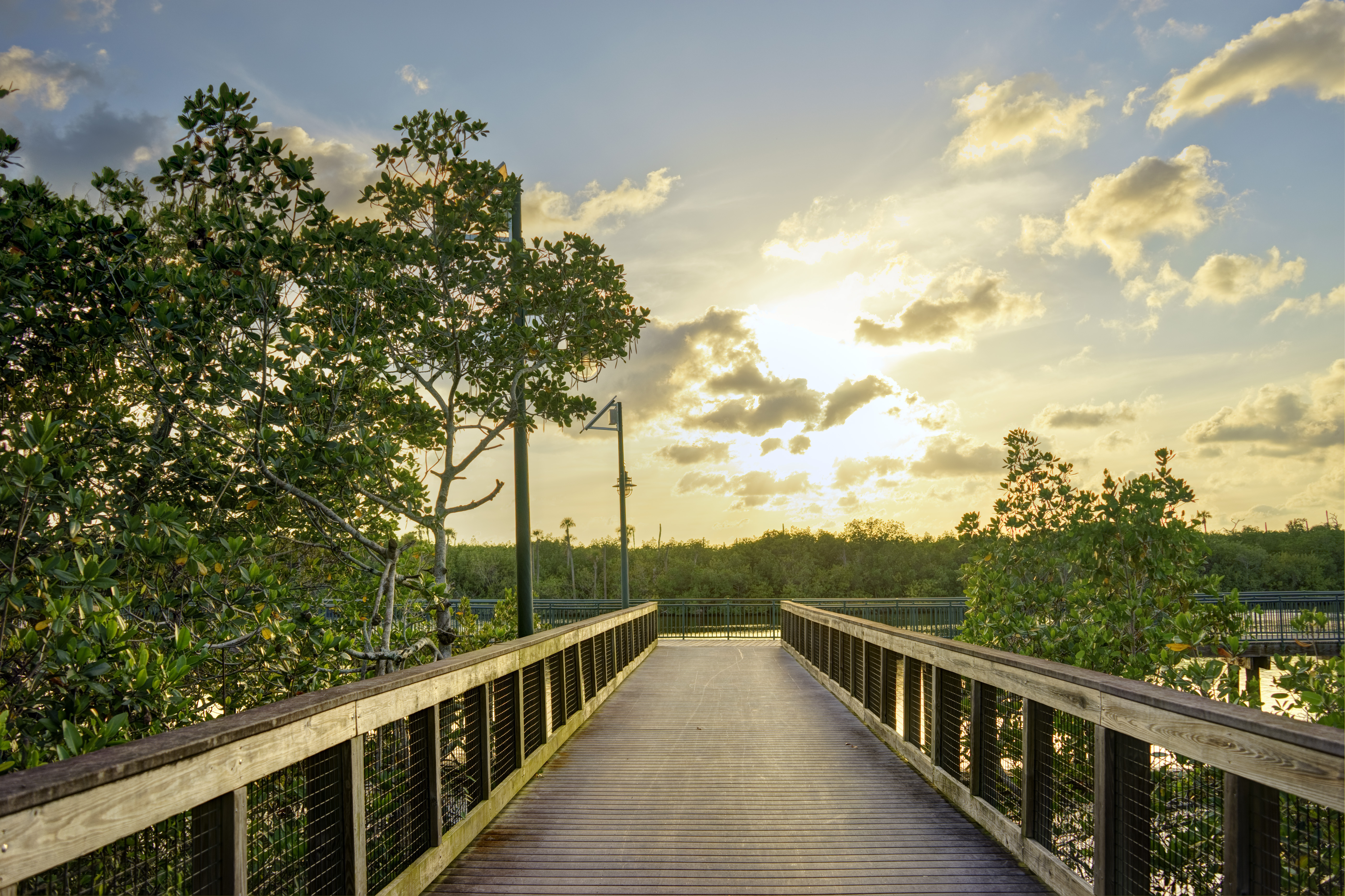Free Things To Do In St. Lucie, Florida